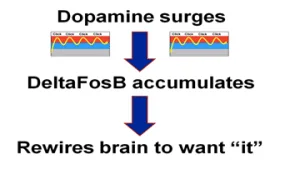 dopamine