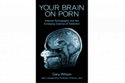 Your Brain on Porn