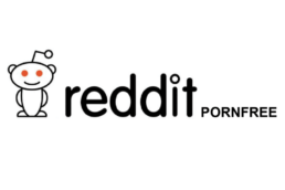 Reddit Porn-free logo