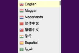 The Reward Foundation website language menu