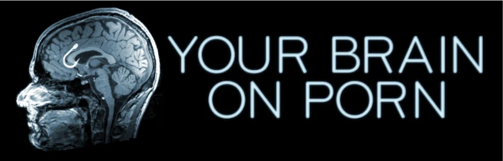 https://www.yourbrainonporn.com/relevant-research-and-articles-about-the-studies/brain-studies-on-porn-users-sex-addicts/#brain