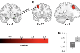 Diminished fronto-limbic functional connectivity in child sexual offenders