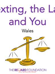 Pornography sexting Bundle Wales