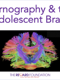 Pornography adolescent brain