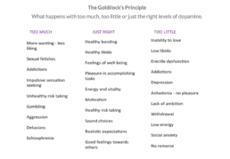 Balance and Imbalance The Reward Foundation
