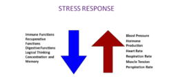 Stress