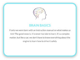 Brain Basics an foudation luach saothair