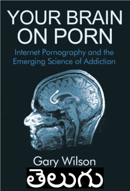 YBOP Telugu full length audio book