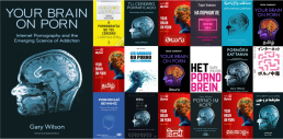 Your Brain on Porn books