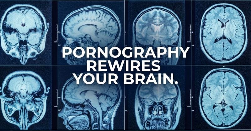 Image for the Tweet beginning: Your brain is being trained